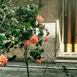 Casa Rosi 아파트 *