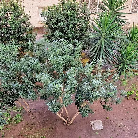 Apartament Casa Rosi