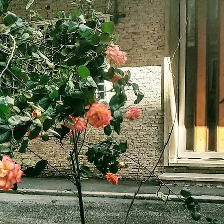 Casa Rosi 公寓 *
