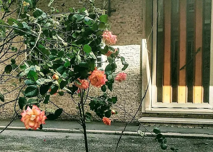 Casa Rosi דירה *